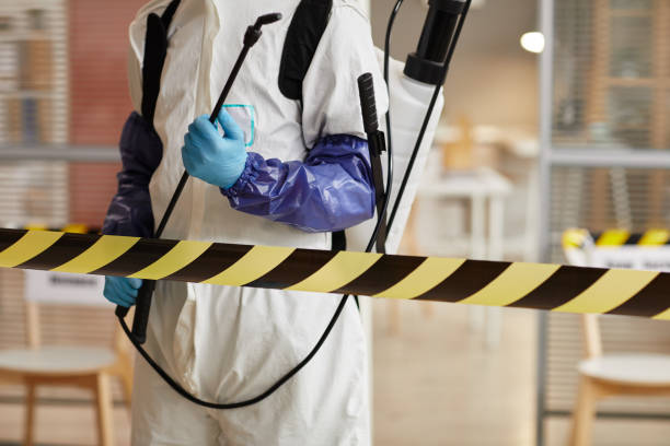 Professional Biohazard Cleanup technician working in Padroni, CO